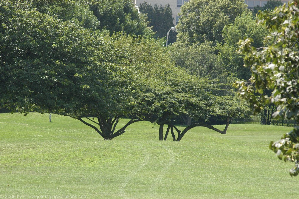 DSC_0021