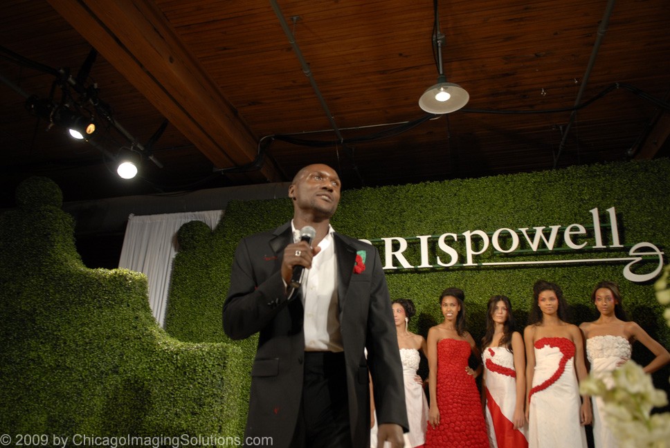 BPowell_CIS0039